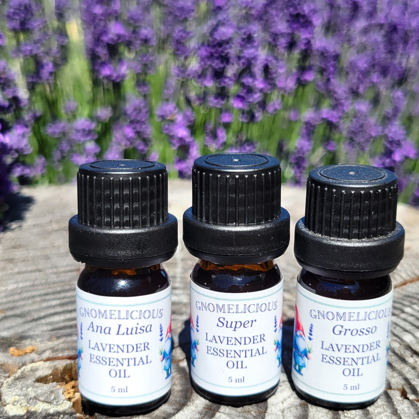 Lavender Essential Oil (Intermedia) - Lavandin, Grosso & Super Varieties (5ml)